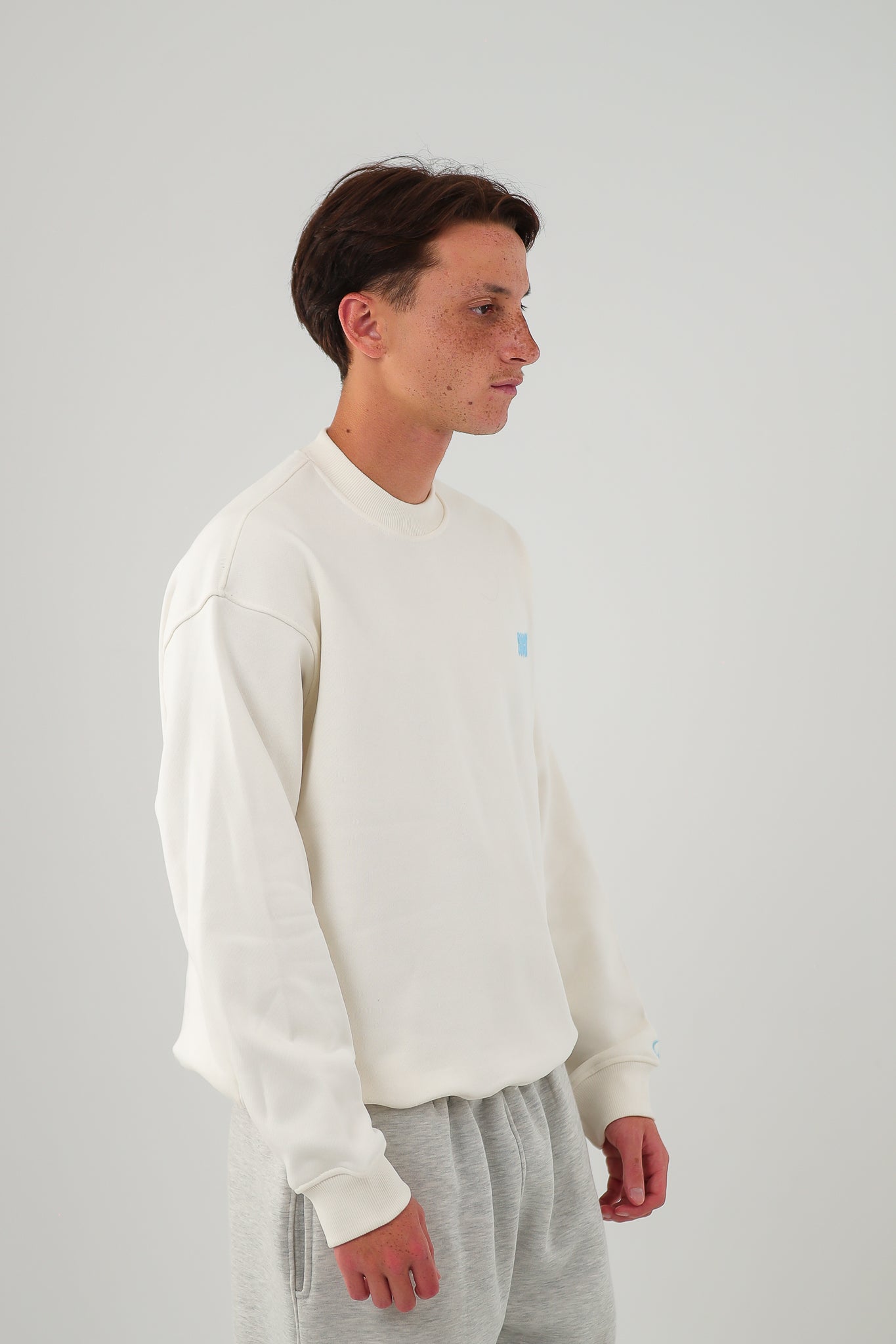 BASIC SICK CREWNECK